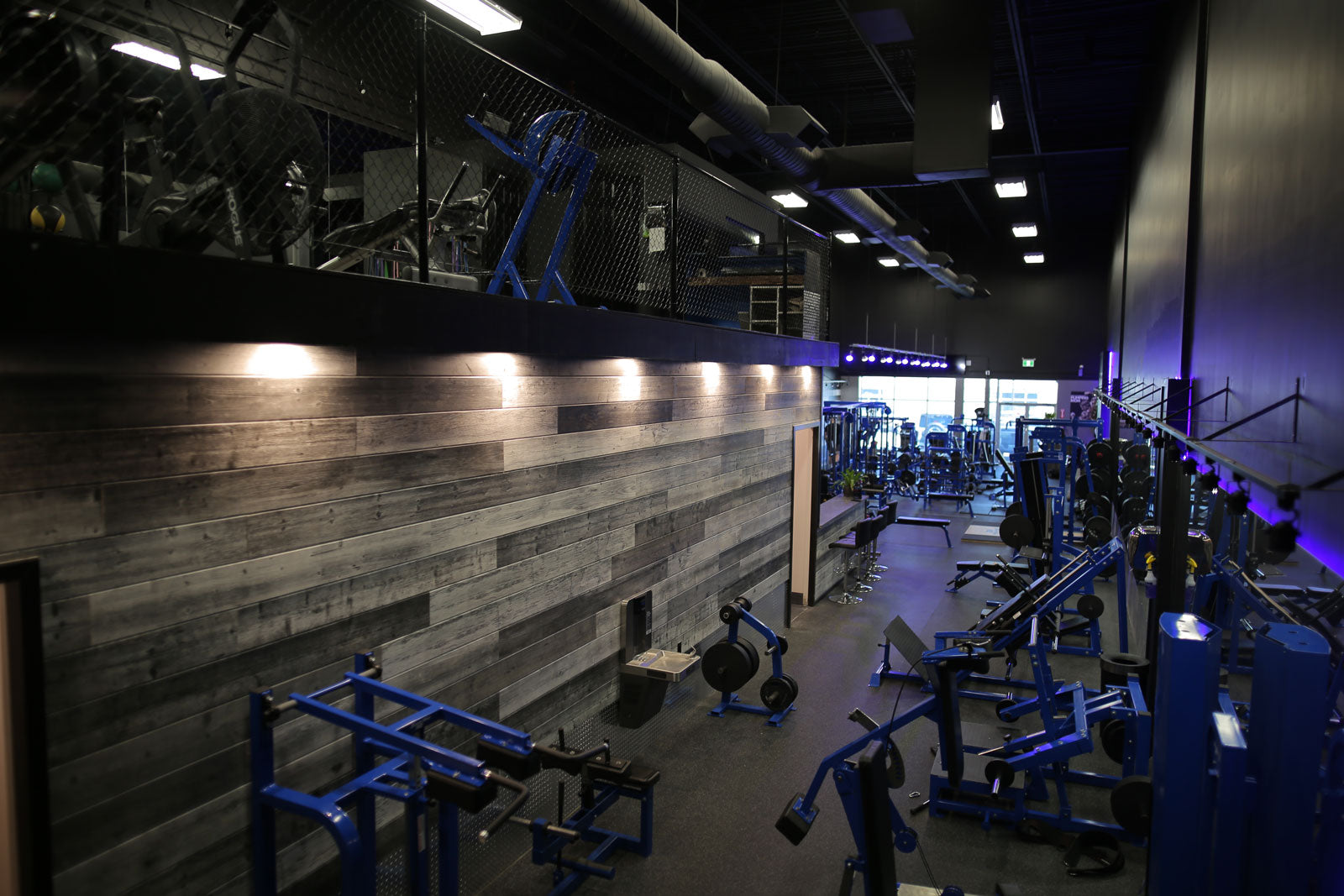 Maximize Your Workouts with These Top Gym Tools